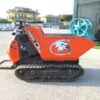 MINI DUMPER CORMIDI C60 RI